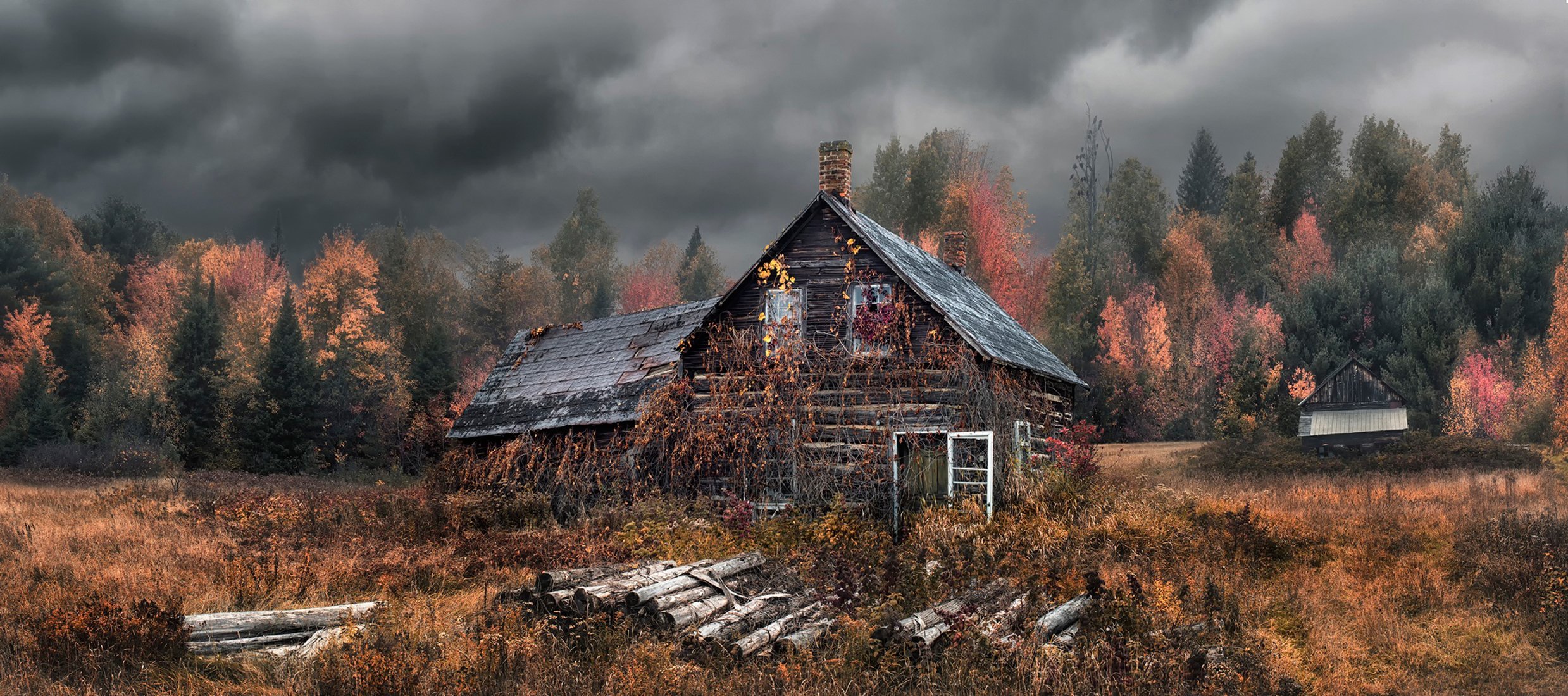 house autumn forest