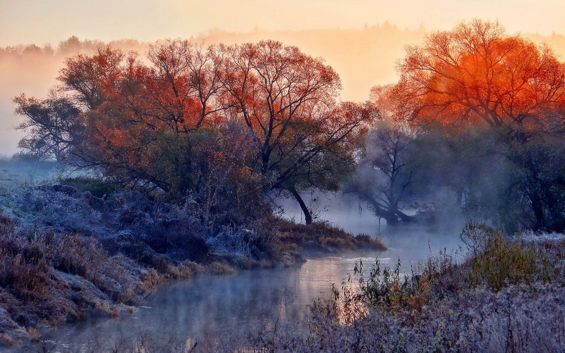 morning river fog nature