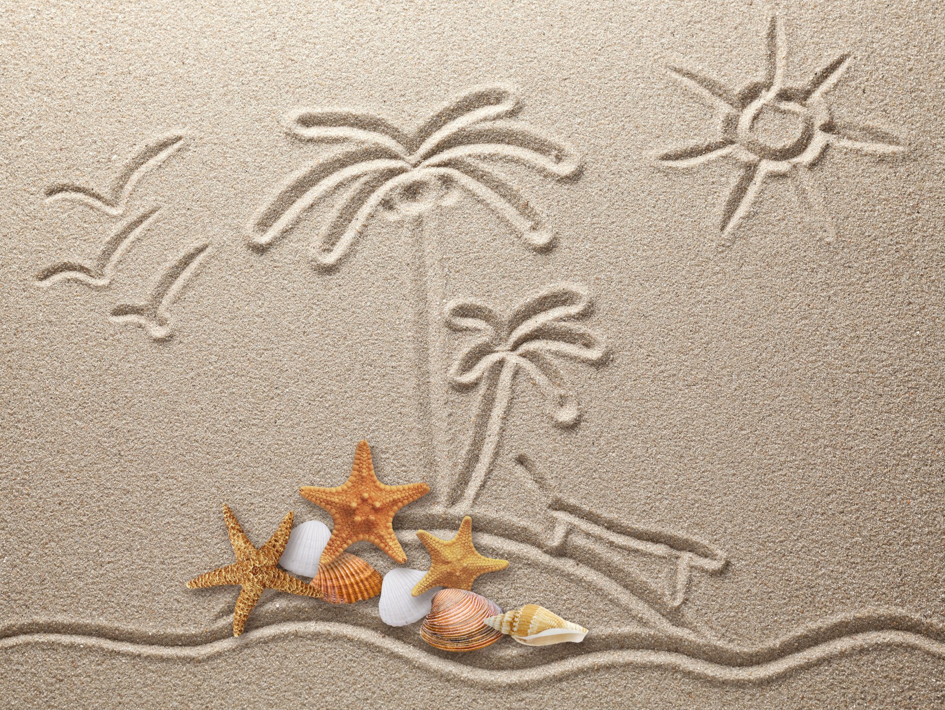 and textures shells stars drawing