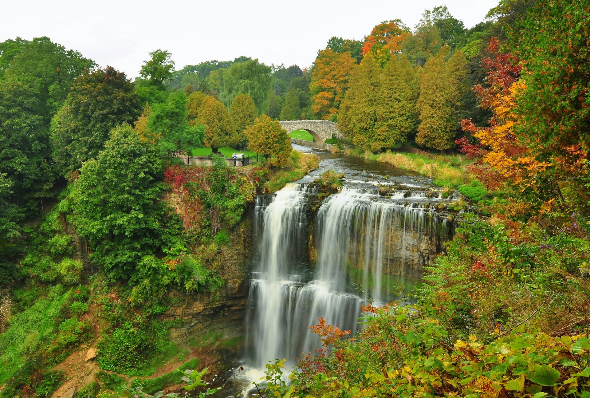 forest park tree autumn river bridge waterfall