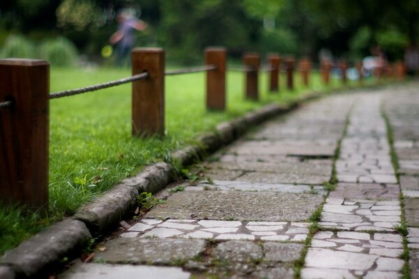 La natura è dipinta sullo sfondo