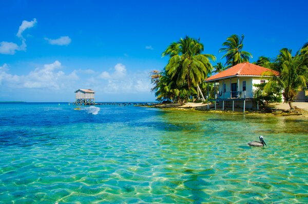 Bungalow en la playa de Paradise Island