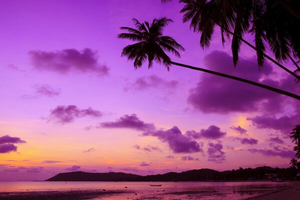 Plage tropicale au coucher du soleil