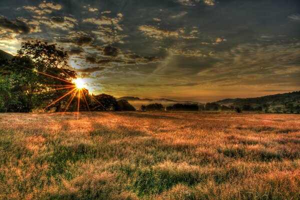 Sunset sky with sun rays over the field