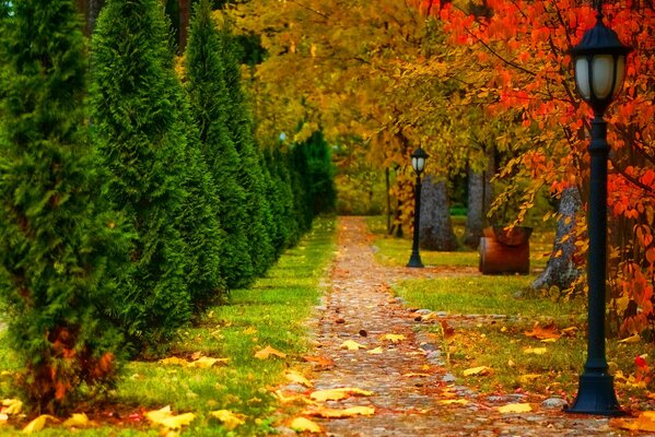 Jesienny park z drzewami liściastymi, iglastymi, latarnia i chodnikiem