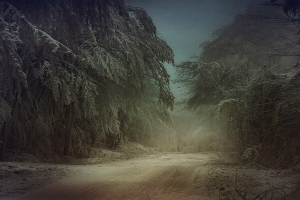 Route de nuit d hiver à travers la forêt