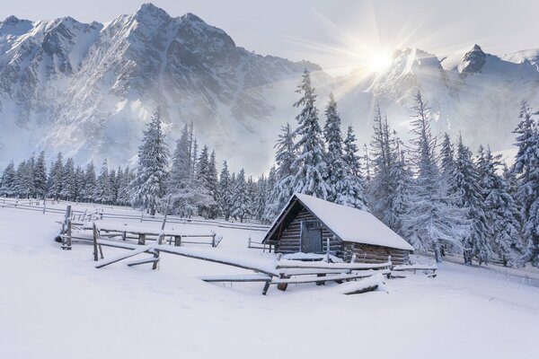 Forest hut in the winter forest