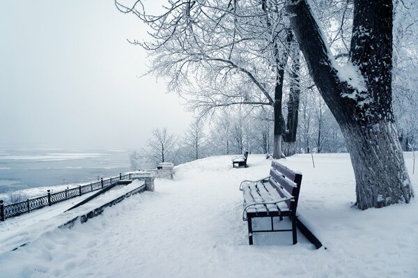 Zimowy park nad rzeką