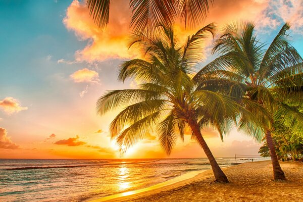 Sunset on a tropical island