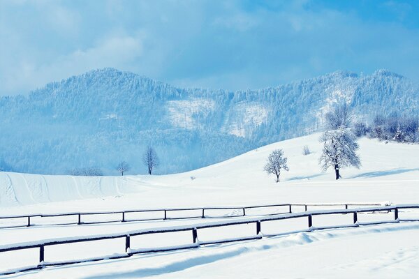 Winter landscape and bridge over the river