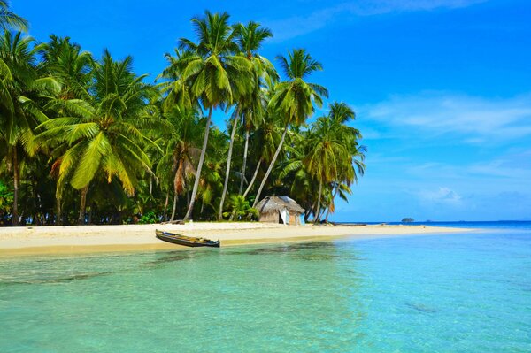 Cabaña bajo las palmeras en la playa en los trópicos