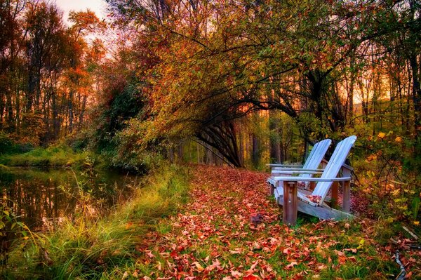 Un lugar para relajarse en el parque junto al agua