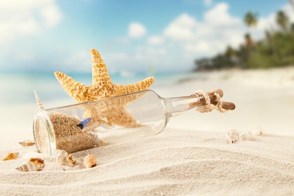 Seestern und Botschafterflasche im Sand