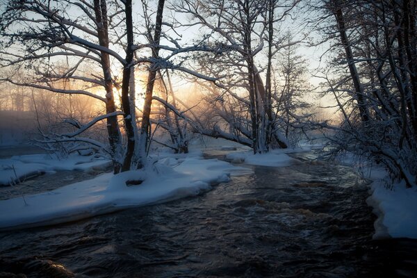 Die Natur wird im Winter vom Fluss zum Leben erweckt