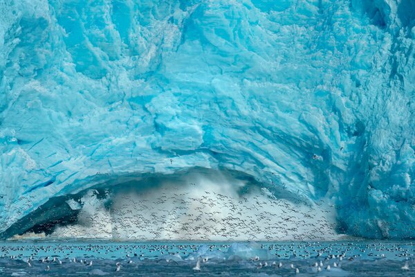 Photos of an iceberg and flying birds around