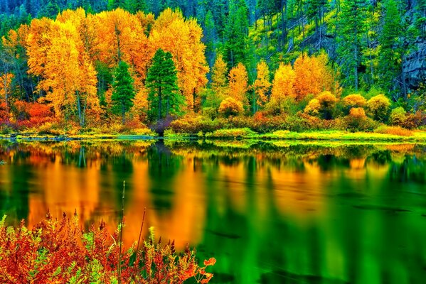 Autumn forest on the slope in front of the lake