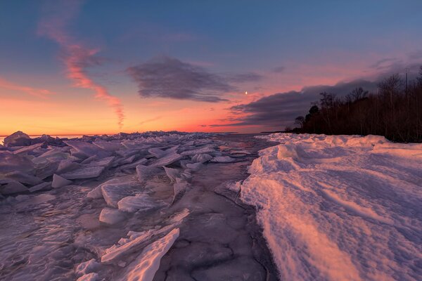 Winter birch lake at dawn