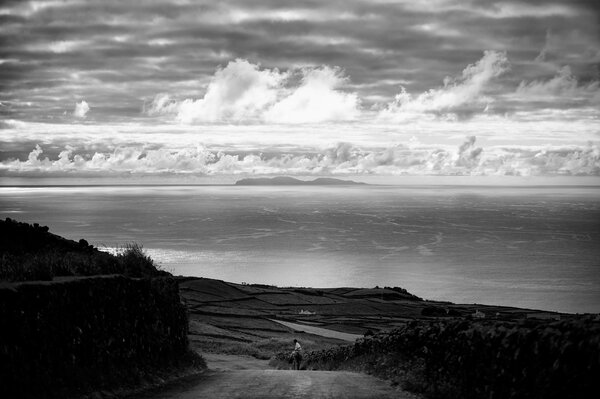 Foto in bianco e nero del paesaggio marino