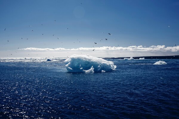 The blueness is breathtaking to others