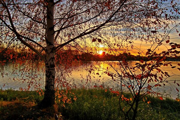 Herbst Sonnenuntergang über dem See und Bäume fast ohne Blätter