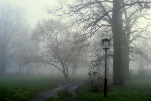 A path in a gloomy foggy park