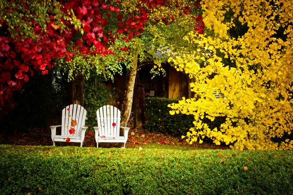 Sillas de madera en el patio de otoño