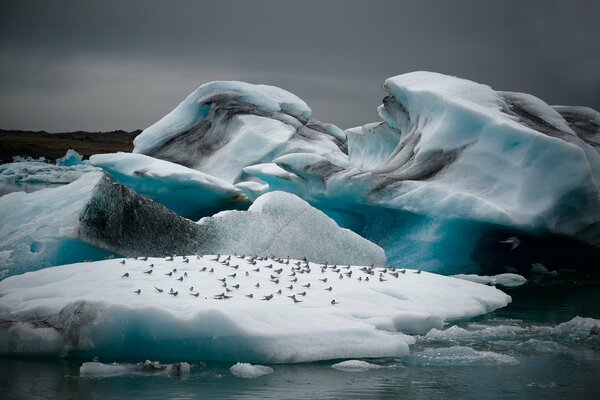 Melting glacier, flock of birds