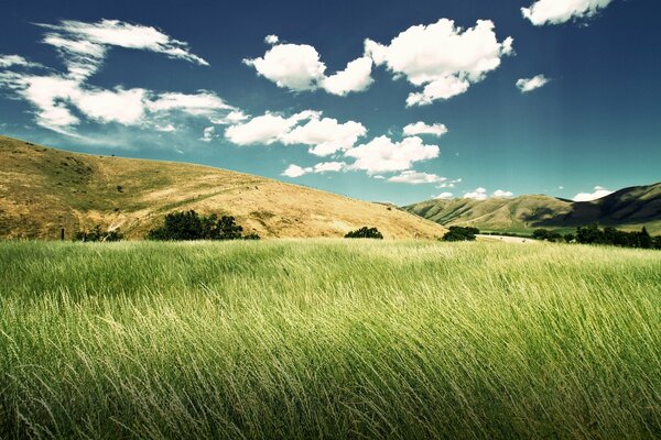 Beautiful green valley landscape