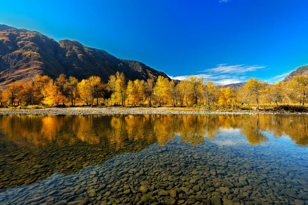 Forêt d automne se reflète dans le lac