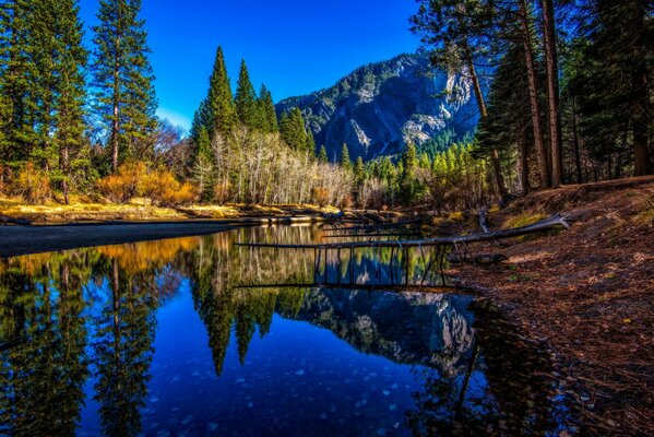 Río en el parque nacional de Yosemite