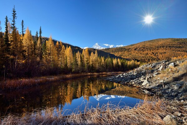 Maravillosa mañana en Altai en el lago