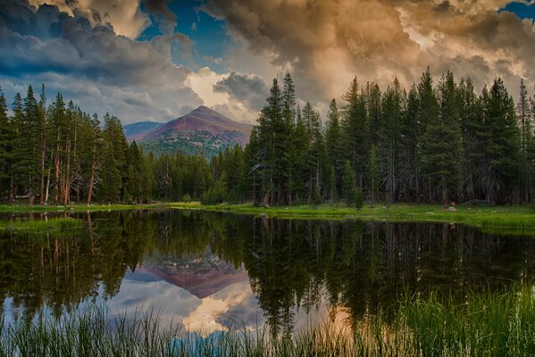 Paesaggio forestale con lago in primo piano e montagne sul retro