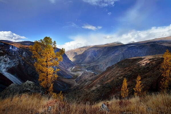 Beautiful autumn in the Altai mountains