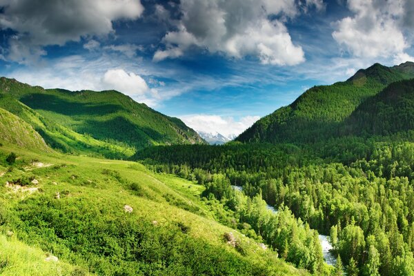 Fiume tra alberi e montagne su uno sfondo di cielo blu con nuvole