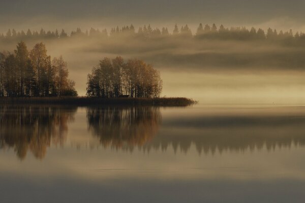 Mystical photo with autumn fog