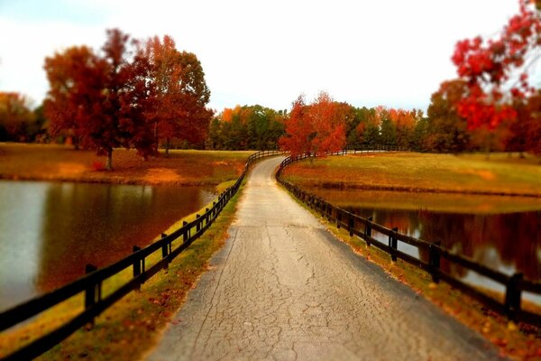 Colores de otoño en el puente del río