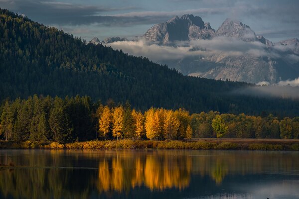 Paysage du matin dans le parc National du Wyoming