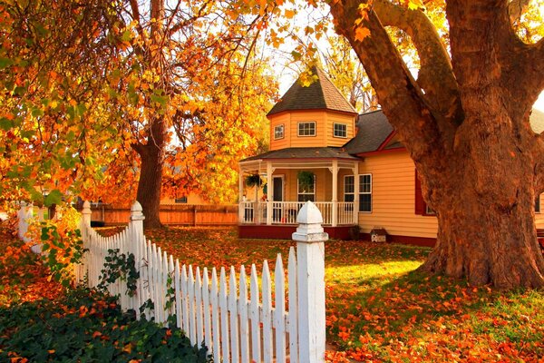 Pelouse près de la maison inondée de soleil d automne