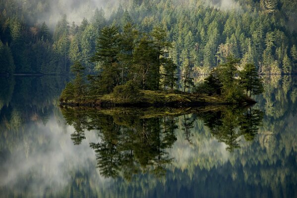 The island and its reflection in the water. In the background is a fog-covered forest