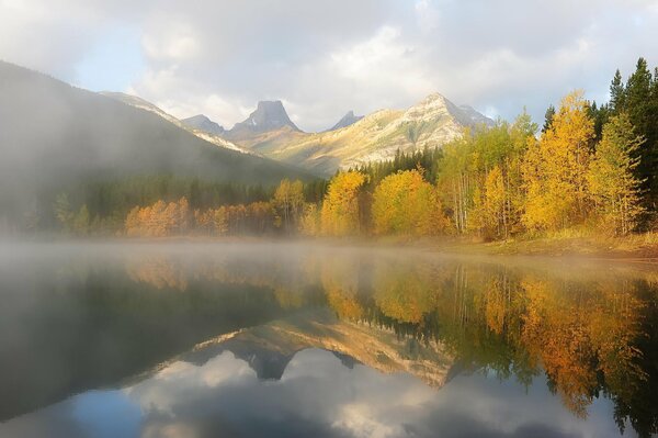 Naturaleza otoñal en el fondo de un lago de montaña