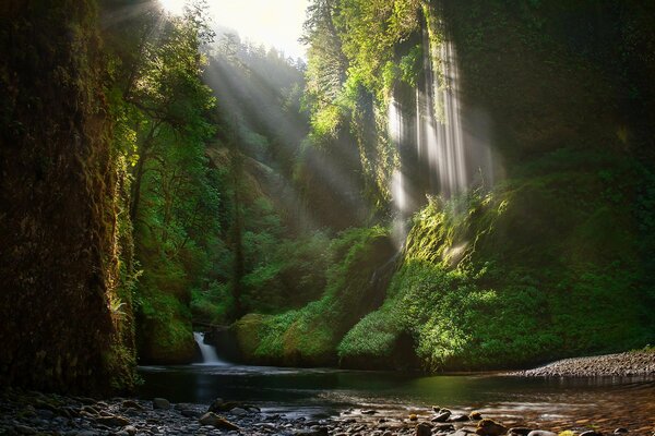 Sommerlandschaft mit Wasserfällen und Sonnenstrahlen