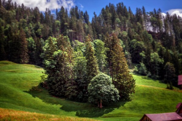 L îlot des arbres, une merveille de la nature