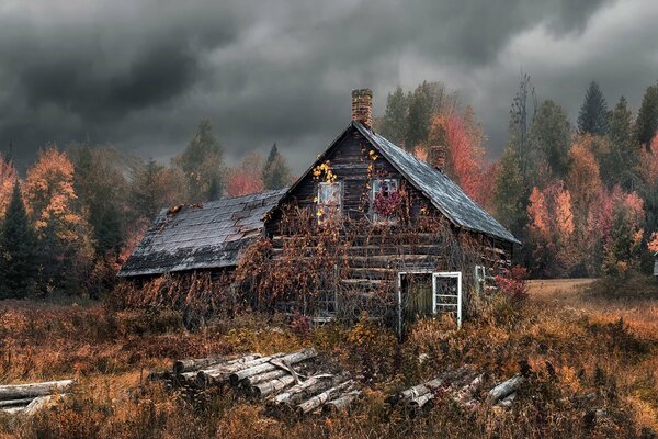 Осенний дом в лесу