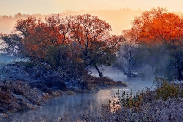 Ein Fluss im herbstlichen Wald, der von Morgennebel und Raureif umhüllt ist