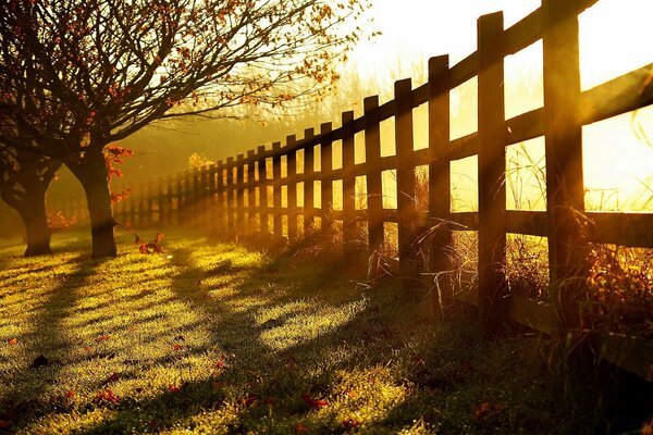 Sonnenstrahlen fallen durch den Zaun auf den Boden