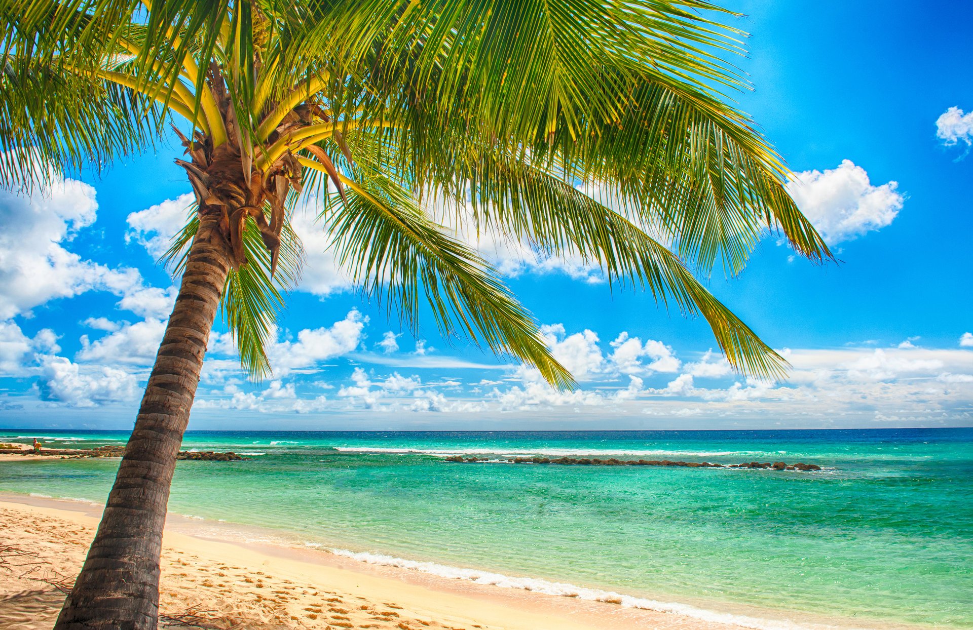 tropisch paradies strand palmen meer ozean sonne sommer urlaub tropen sand ufer