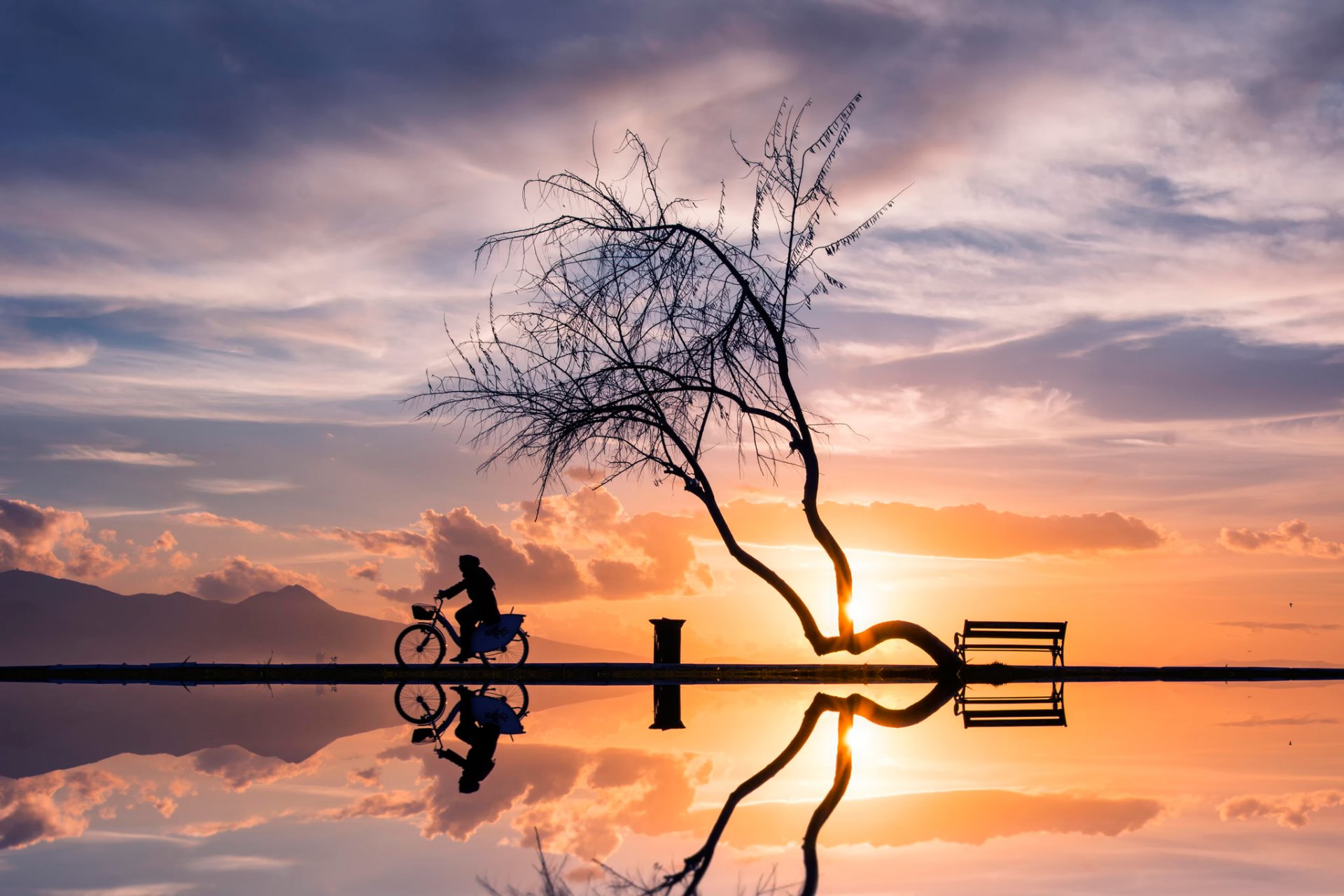 coucher de soleil arbre femme vélo silhouettes réflexion