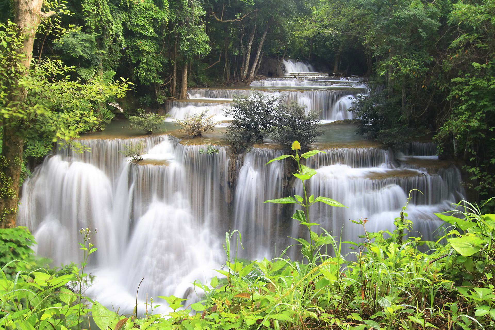 tailandia bosque selva río cascada cascada corriente árboles piedras