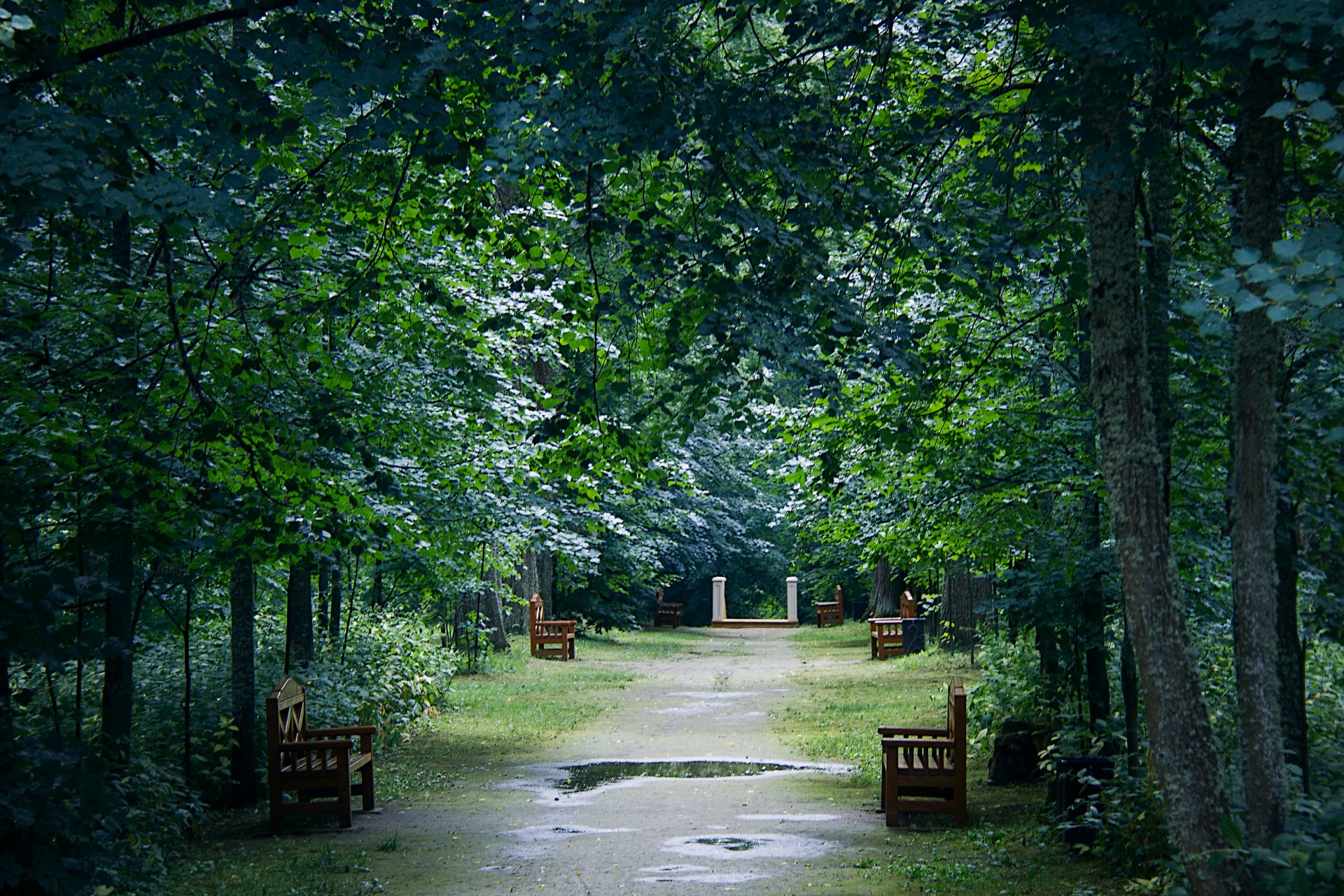 après la pluie flaques d eau réflexion bancs parc arbres