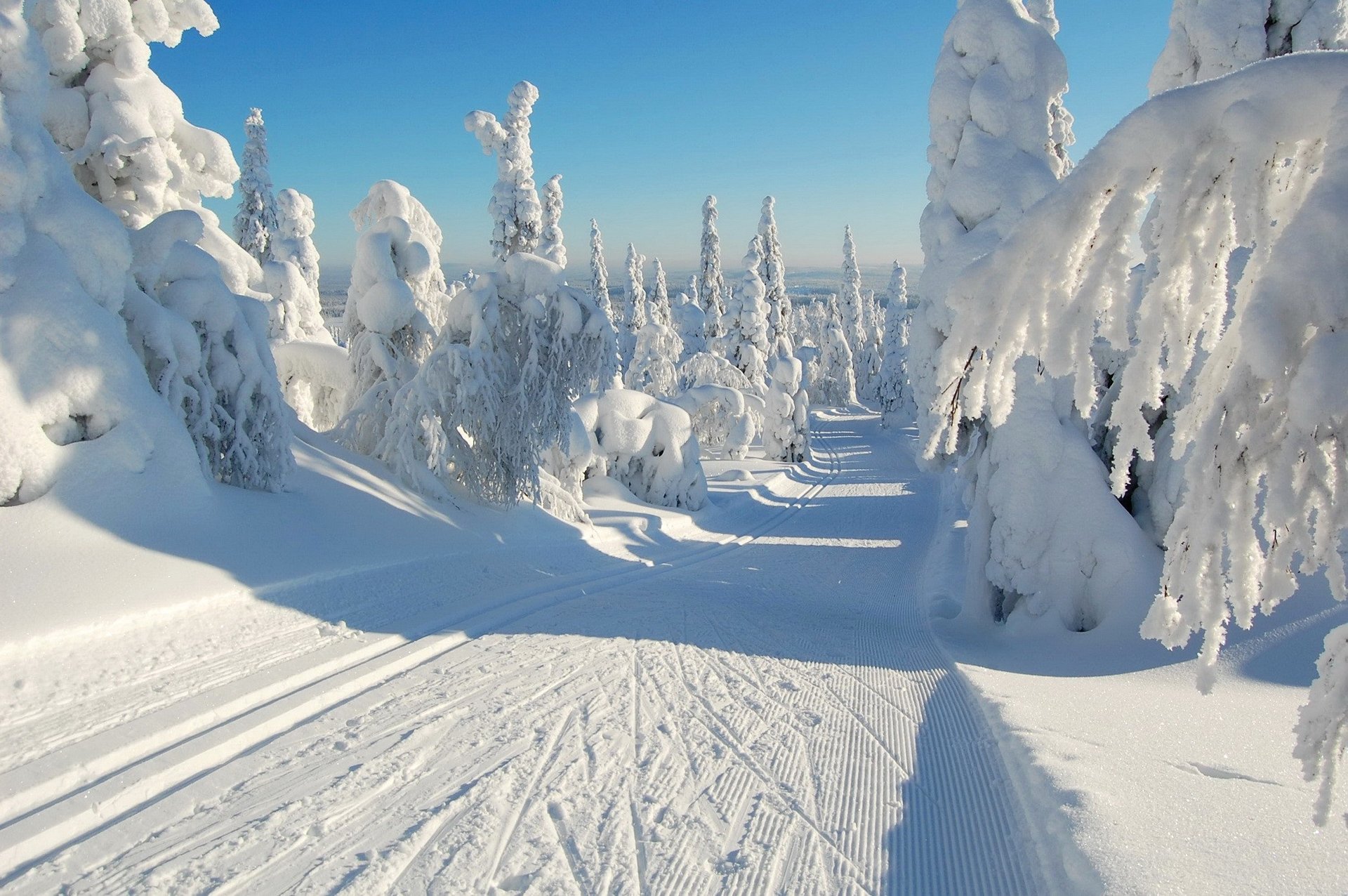 cielo inverno strada foresta neve alberi abete rosso